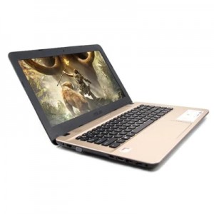 ASUS AMD A9 X441BA-GA911T